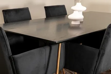 Petra Matgrupp 190 cm Rektangulär med 6 Petra stolar - Svart - Products - Möbler - Bord & matgrupp - Matgrupp