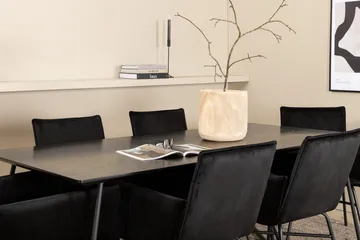 Petra Matgrupp 190 cm Rektangulär med 6 Petra stolar - Svart - Products - Möbler - Bord & matgrupp - Matgrupp