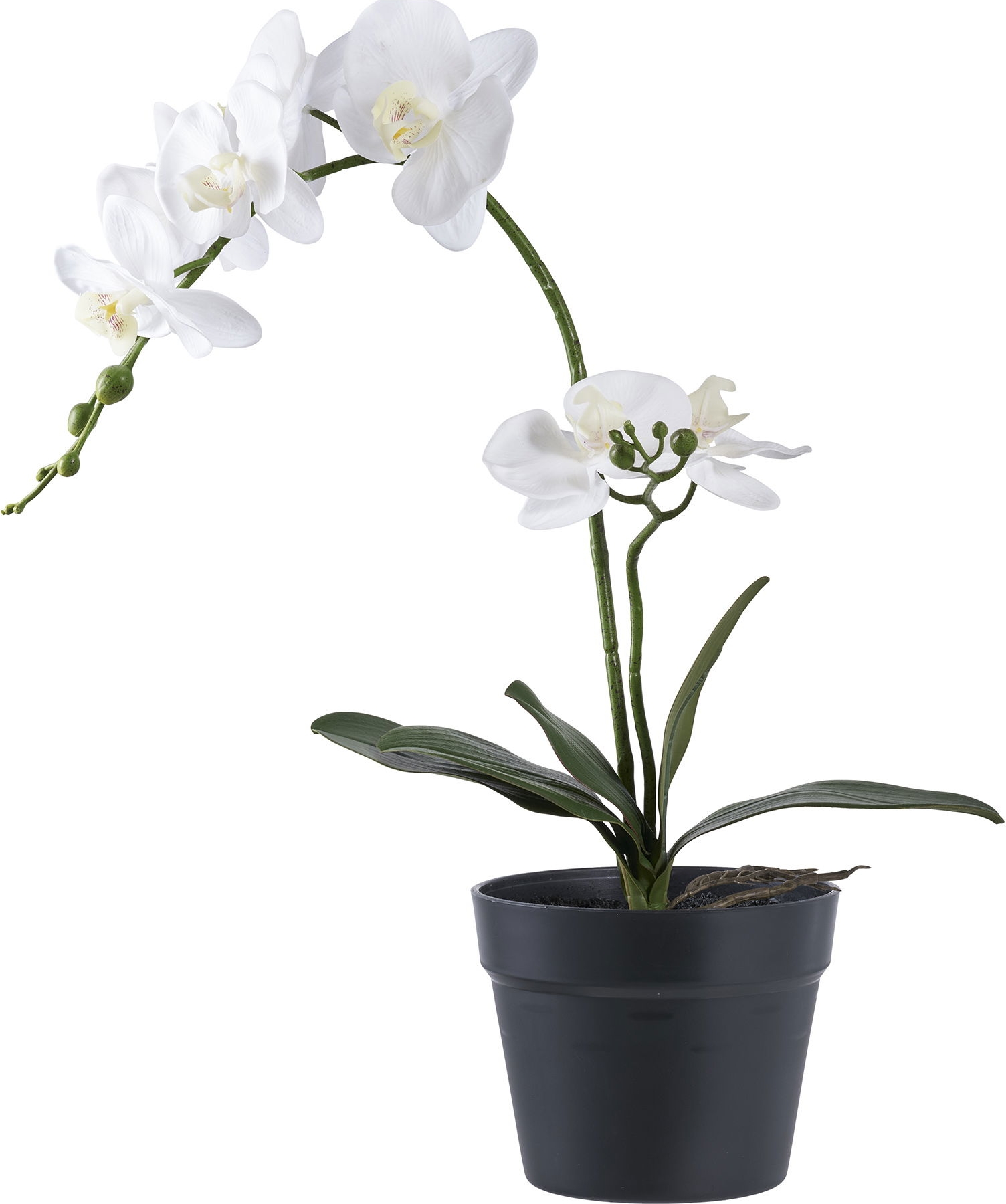 Orchidee kunstplant - H:47 cm - Groen/wit