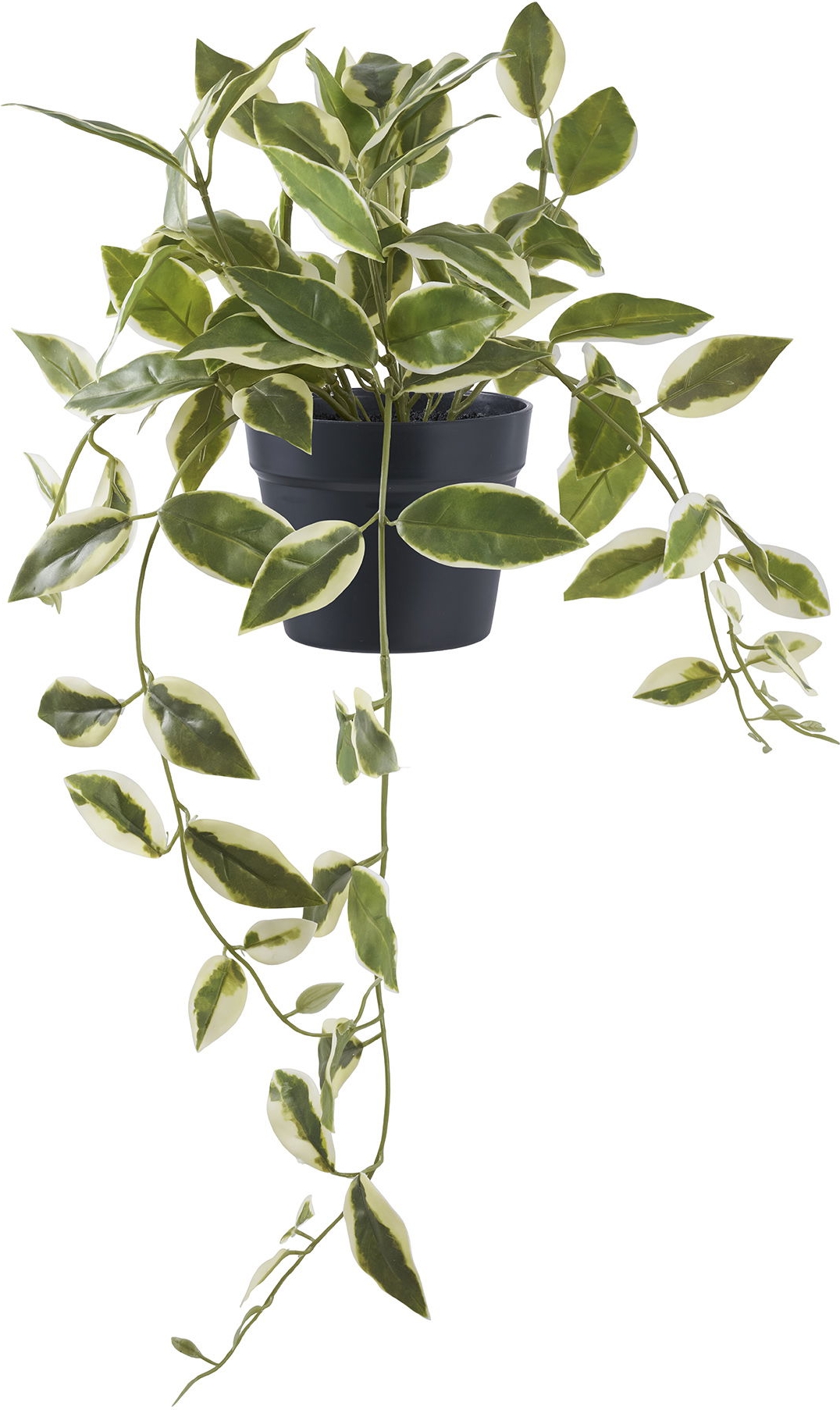 Porslinsblomma konstv�xt - Gr�n