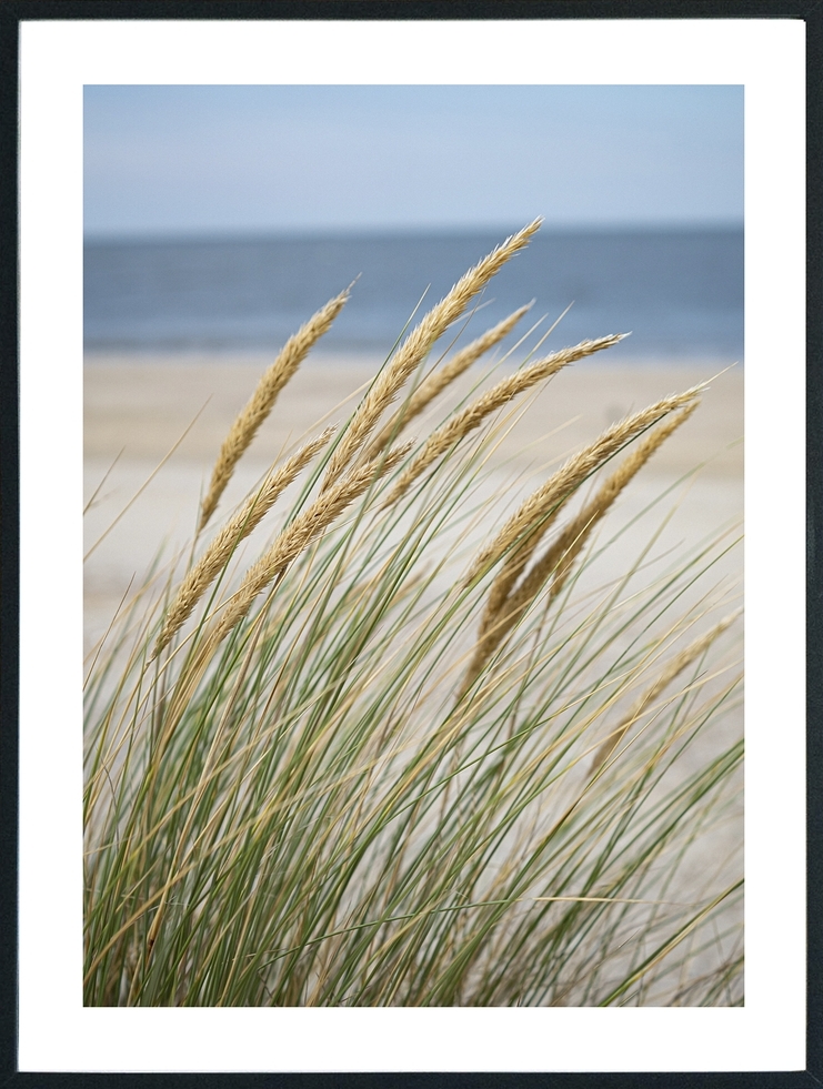 Posterworld - Motiv Windy Beach - 70 x 100 cm