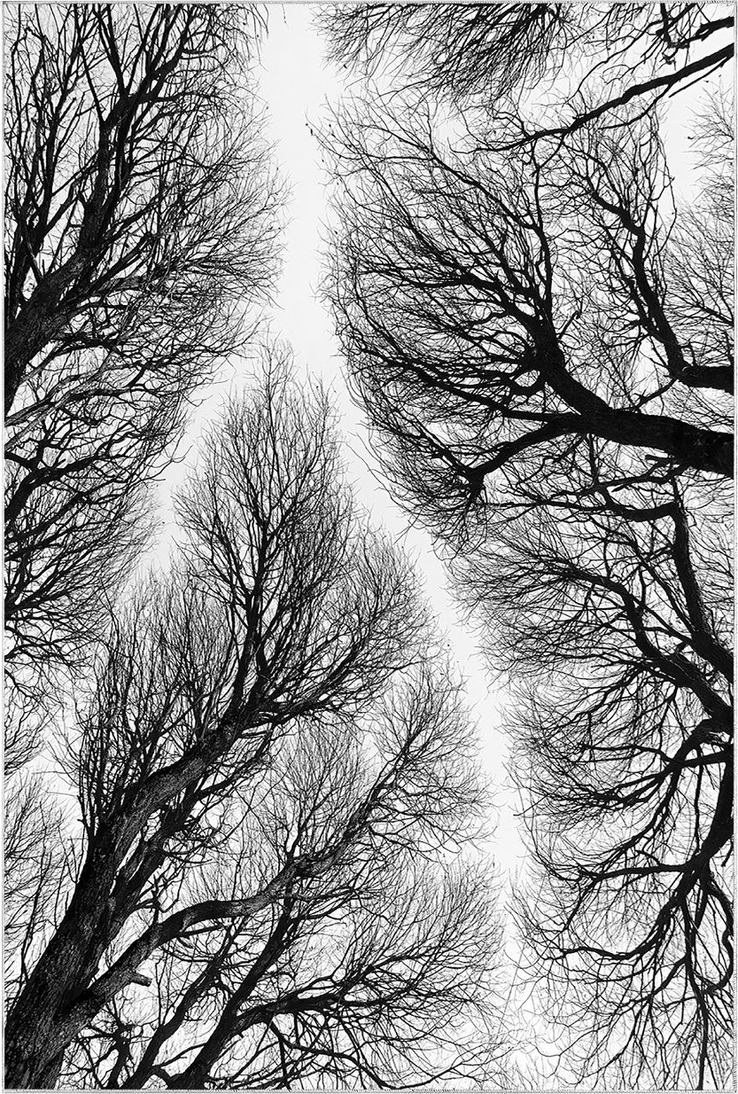 Komota 449 badkamerkleed