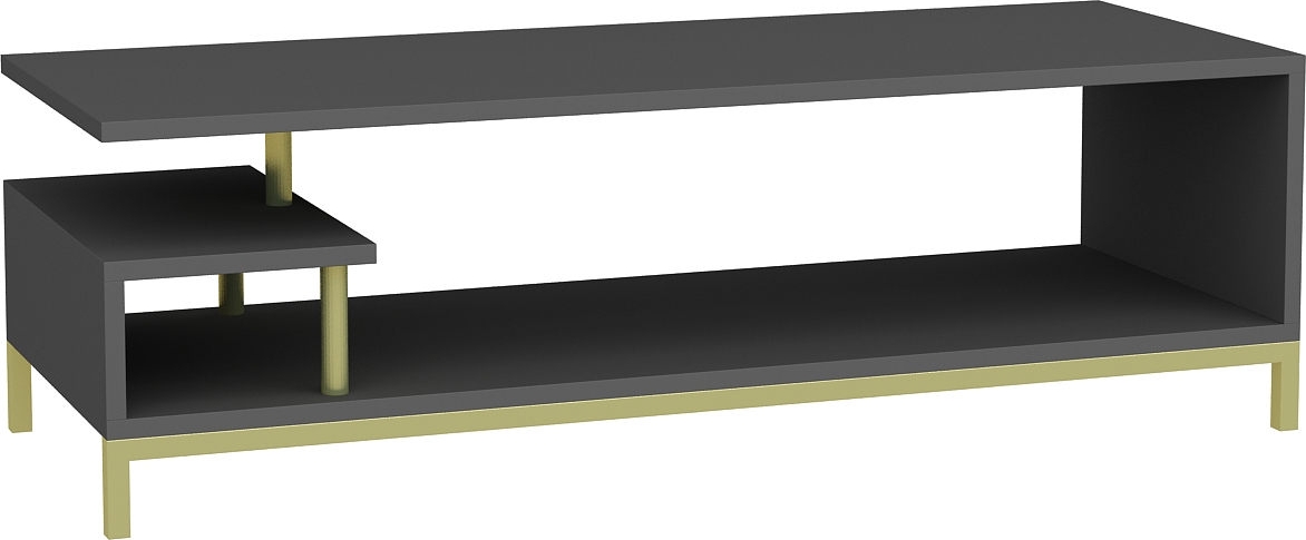 Reilly mediabank - Goud/antraciet