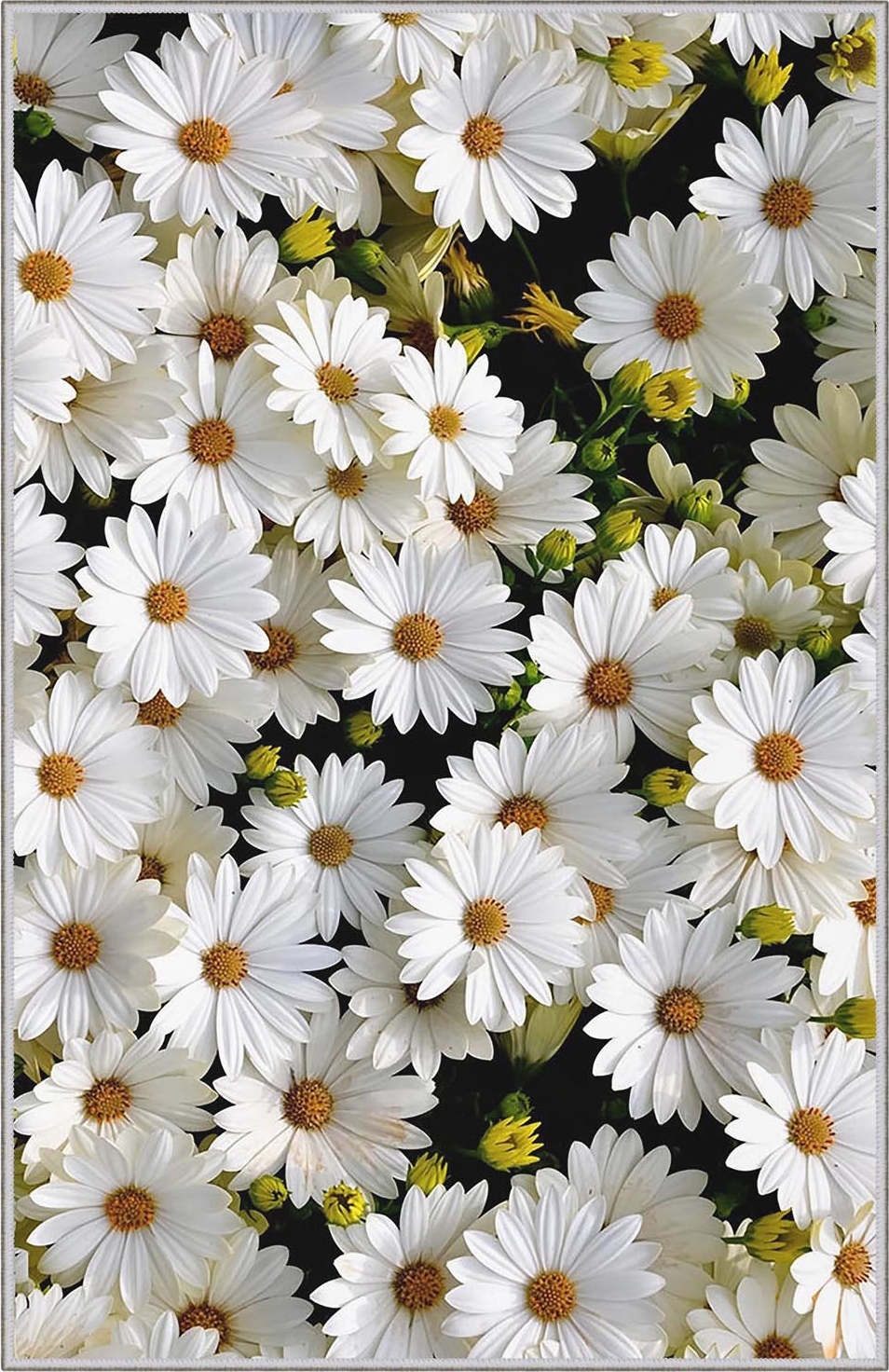 Hermitage 521 vloerkleed Hermitage 521 vloerkleed