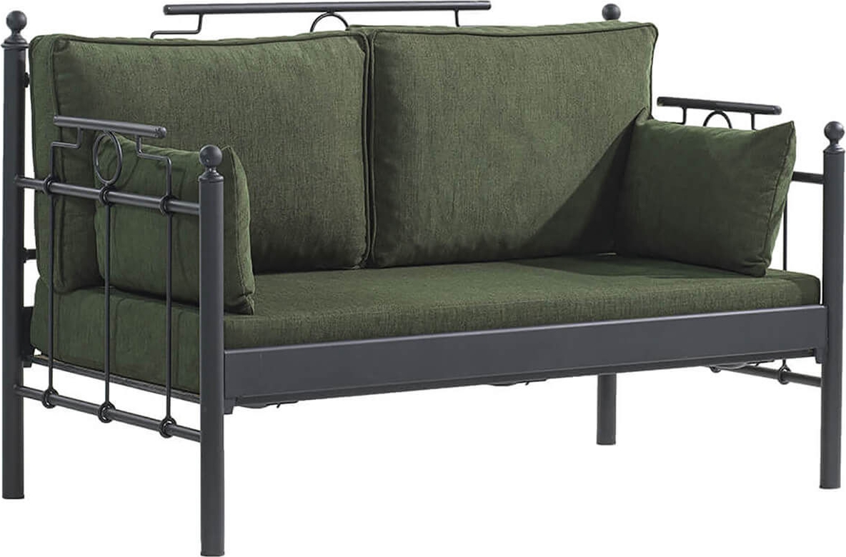 Hampus 2-zits buitenbank - Zwart/groen + Meubelreiniging