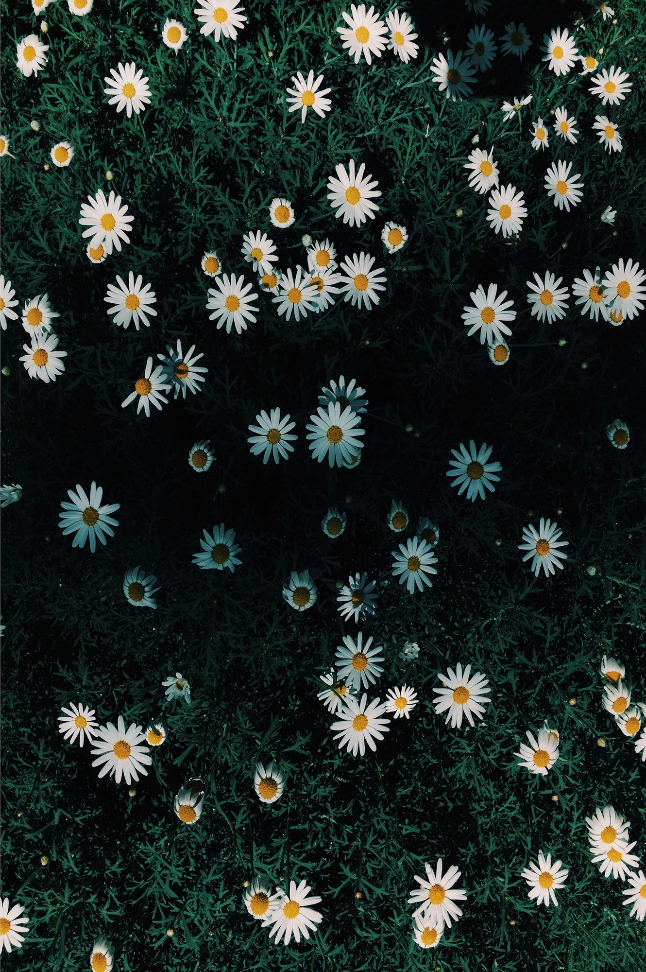 Cozin 187 vloerkleed Veelkleurig - 60 x 100 cm