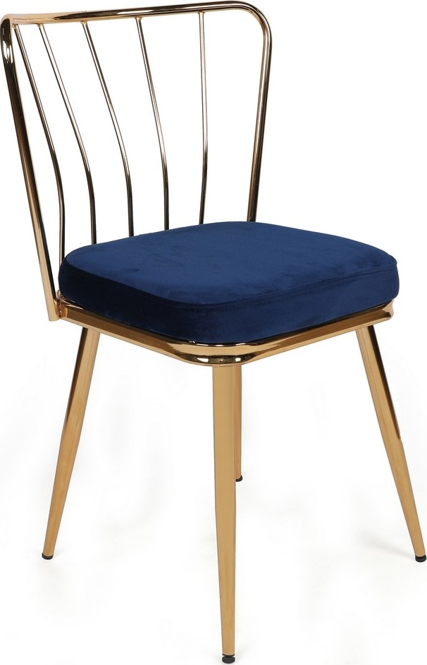 Jill eetkamerstoelen set - Donkerblauw/goud