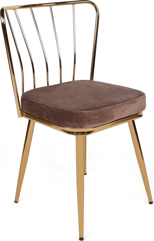 Jill eetkamerstoelen set - Lichtbruin/goud