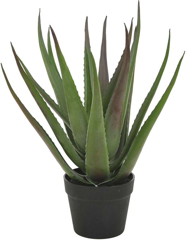 Konstv�xt Alovera 50 cm h�g