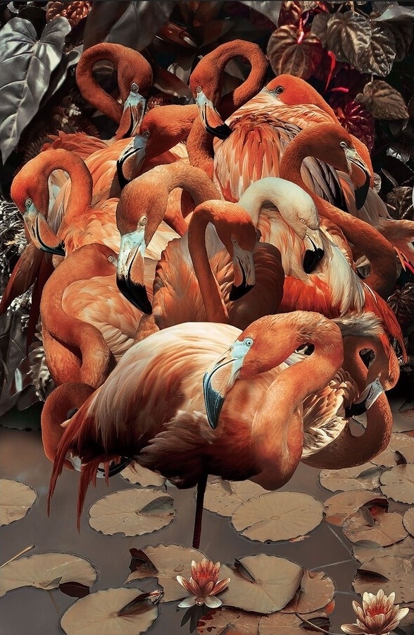 Glastavla - Flamingo - 80 x 120 cm