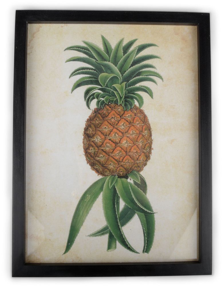 Tavla Ananas 40x30 cm