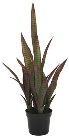 Konstv�xt - Sansevieria planta 80 cm