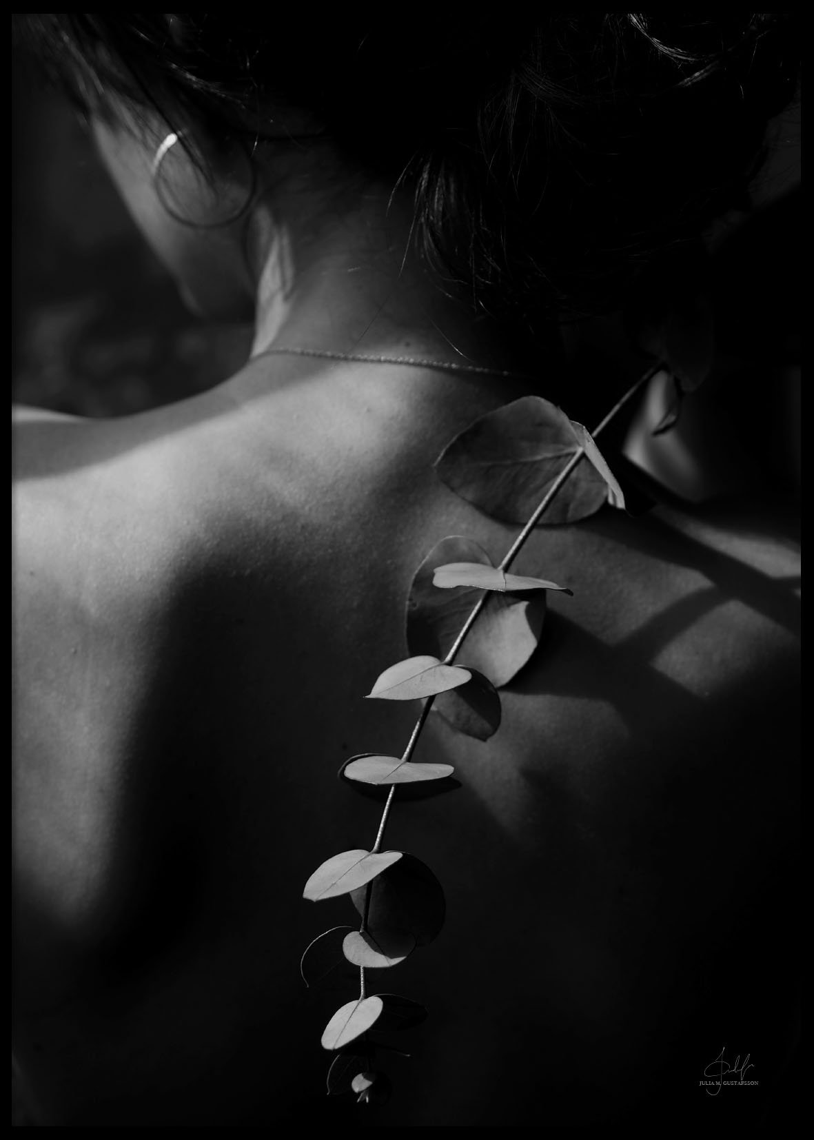 MADICKEN EUCALYPTUS - Poster 50x70 cm