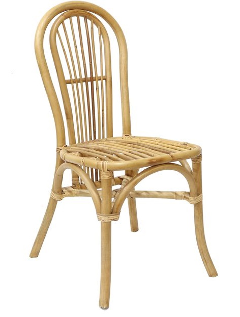 Nevada matstol i rotting - Natur Nevada matstol i rotting - Natur