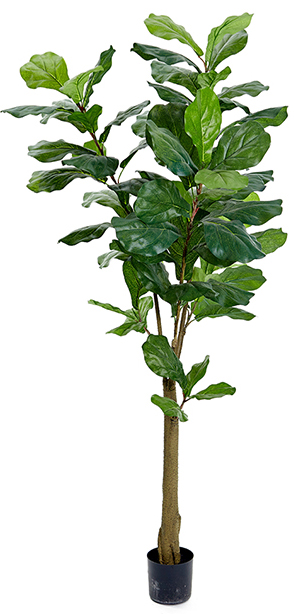 Fiolfikus kunstplant