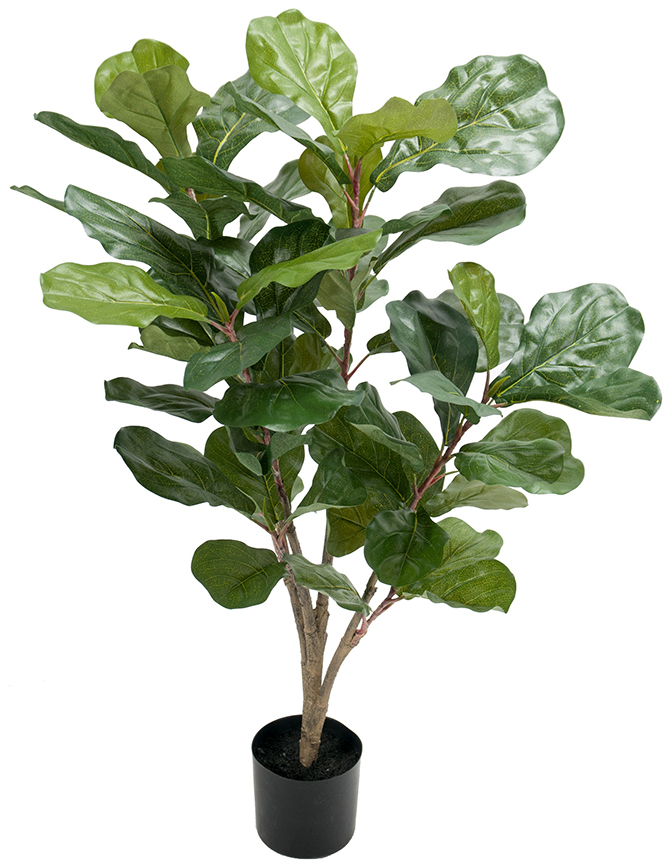 Fiolfikus kunstplant