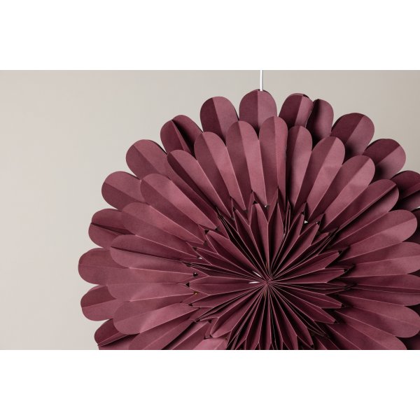 Jrvsn adventsstjrna - Mrkrd/Vit