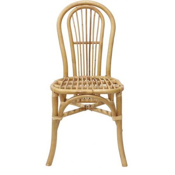 Nevada matstol i rotting - Natur Nevada matstol i rotting - Natur