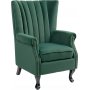 Rutil fauteuil met oorkleppen in groen fluweel + Vlekverwijderaar voor meubels
