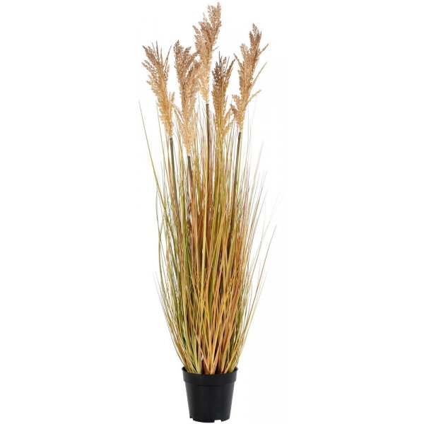 Sorghum konstblomma - Gul