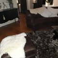 Kundbild Nelly ekologiskt lammskinn Vit : Vita lammskinn på soffa och fotpall