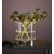 Bouquet bordslampa 19 cm - Krom/klarglas