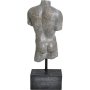 Torso man - Gr