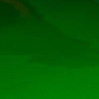 Axel wandlamp - Groen/messing - 25 cm