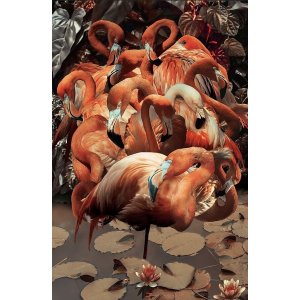 Glastavla - Flamingo - 80 x 120 cm