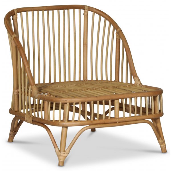 Baboo ftlj i rotting med dyna - Natur