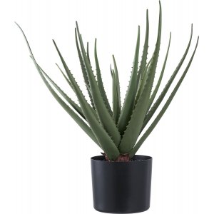 Aloe Vera konstväxt - H:51 cm - Grön