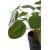 Plante artificielle en forme d\\\'oreille d\\\'lphant - H:28 cm - Vert