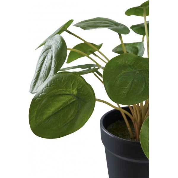 Plante artificielle en forme d\\\'oreille d\\\'lphant - H:28 cm - Vert