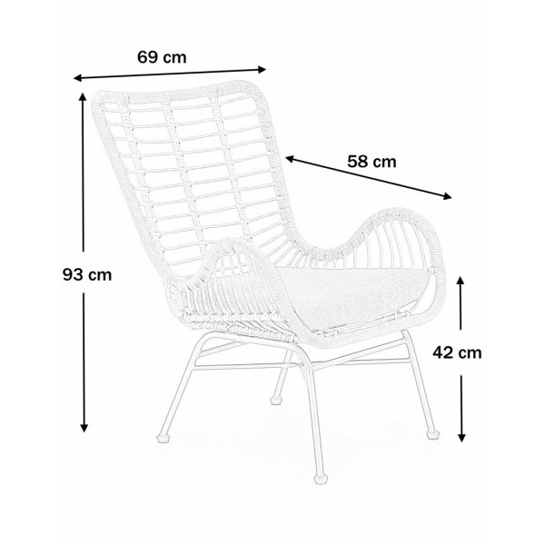 Minos fauteuil - Rotan + Vlekverwijderaar voor meubels