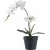 Plante artificielle Orchide - H:47 cm - Vert/blanc