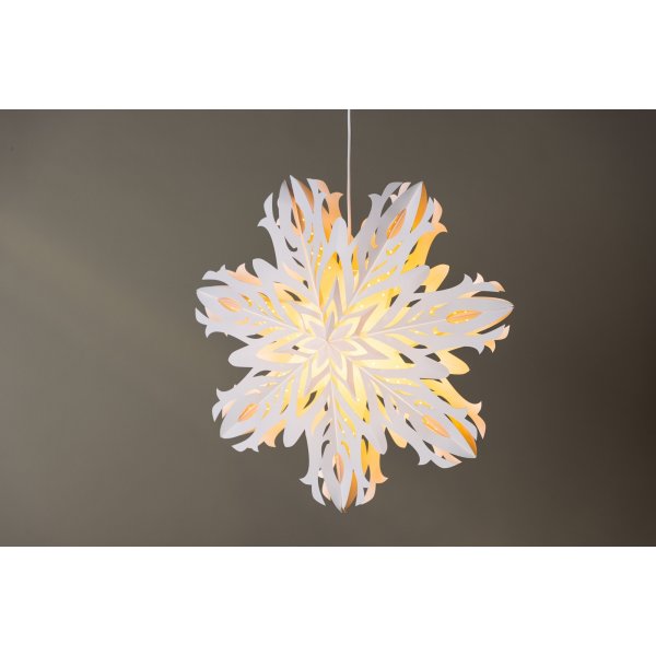 Hundfjllet adventsstjrna - Vit