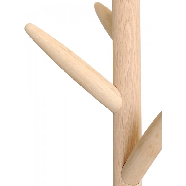 Tambour-major de cirque - Chne pigment blanc