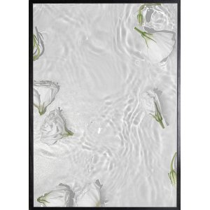 Poster - White roses - 21x30 cm