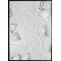 Poster - White roses