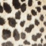 Leo kuddfodral Leopard - 45 x 45 cm