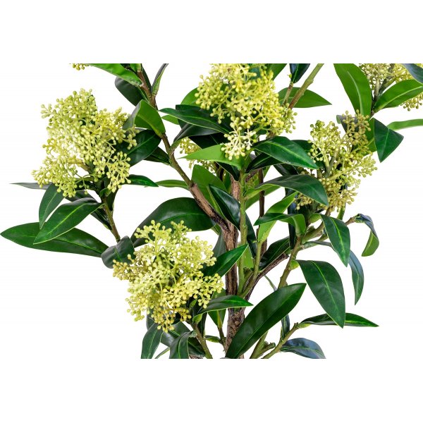 Skimmia boom kunstplant - Groen Skimmia boom kunstplant - Groen