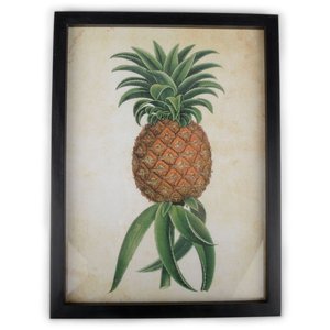 Peinture Ananas
