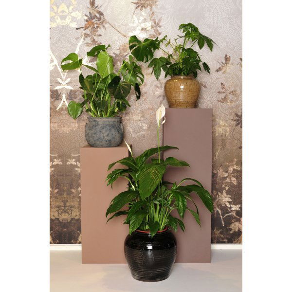 Pot en c�ramique Mira - Marron clair