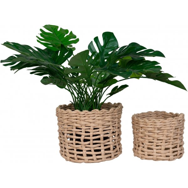 Penela korgar - Ljusbrun