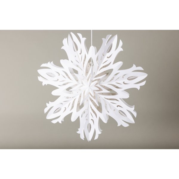 Hundfjllet adventsstjrna - Vit