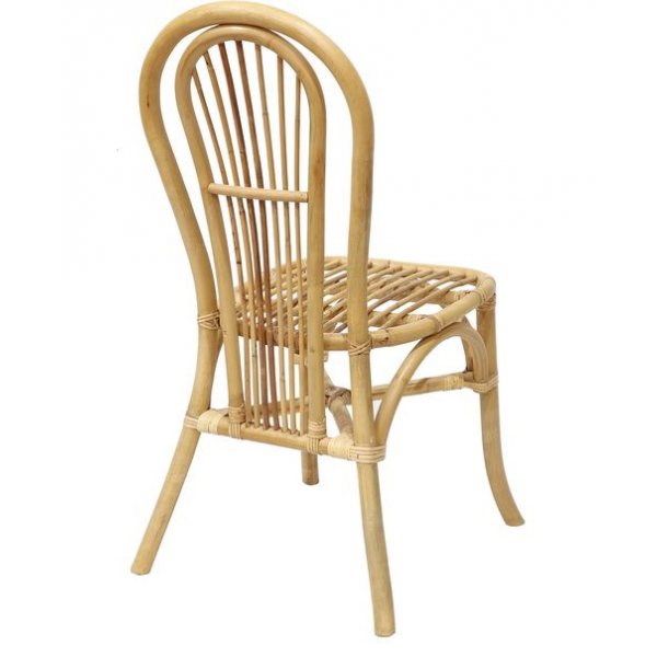 Nevada matstol i rotting - Natur Nevada matstol i rotting - Natur