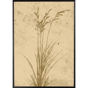 Poster - Plant art - 21x30 cm