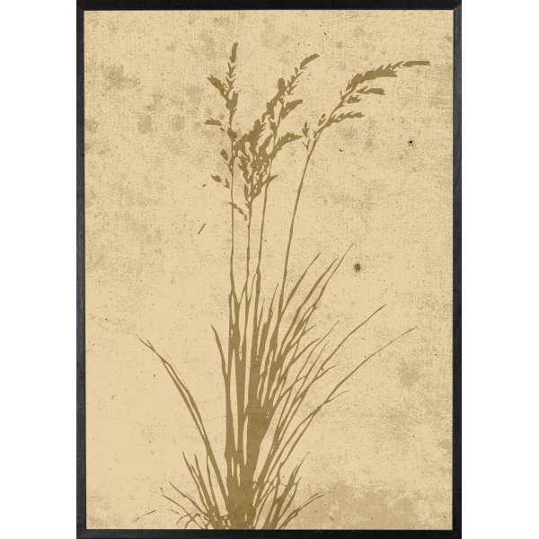 Poster - Plant art