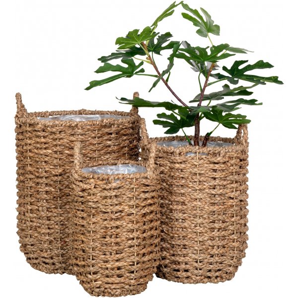 Hue krukaor - Sjögräs Hue krukaor - Sjögräs