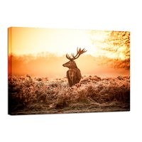 Canvastavla Deer in Sunrise Canvastavla Deer in Sunrise